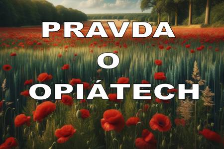 Pravda o opiátech