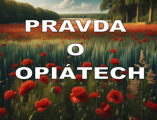 Pravda o opiátech